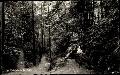 Ak Zeitz im Burgenlandkreis, Im Knittelholz