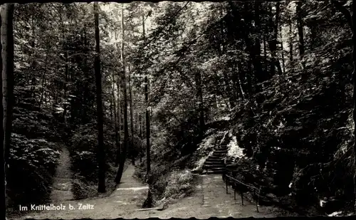 Ak Zeitz im Burgenlandkreis, Im Knittelholz