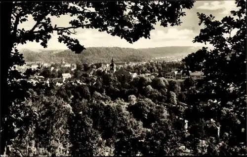 Ak Waldheim in Sachsen, Panorama