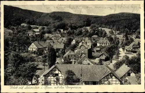 Ak Lauenstein Salzhemmendorf in Niedersachsen, Gesamtansicht, Bergwiesen, Hotel Lauensteiner Hof