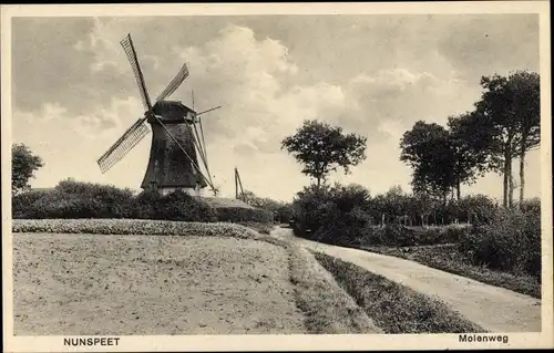 Ak Nunspeet Gelderland, Molenweg, Windmühle