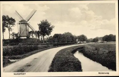 Ak Nunspeet Gelderland, Molenweg, Windmühle