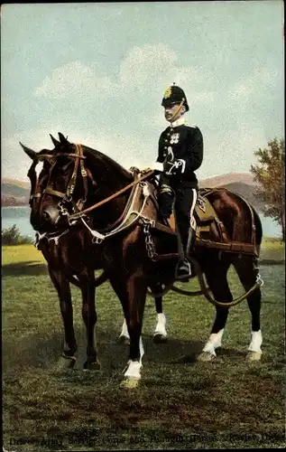 Ak Driver Army Service Corps und Draft Horses, Reviev Order