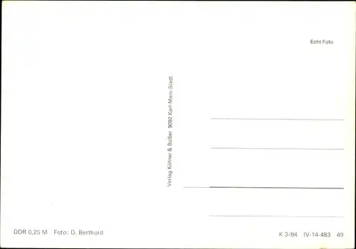 Ak Zwei schwarze Hunde, Neufundländer