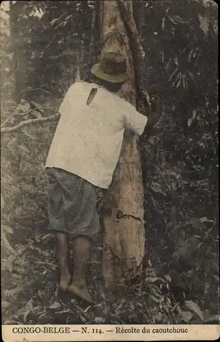 AK Belgisch-Kongo Zaire, Kautschukernte