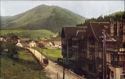 Ak Steinhaus am Semmering Steiermark, Teilansicht