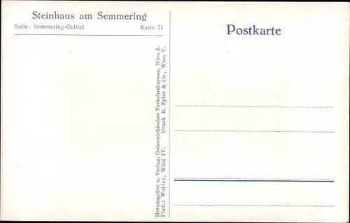 Ak Steinhaus am Semmering Steiermark, Teilansicht