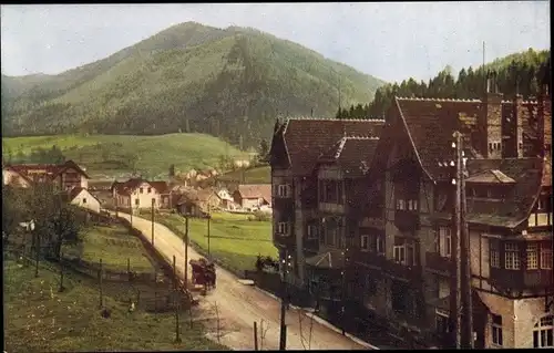 Ak Steinhaus am Semmering Steiermark, Teilansicht