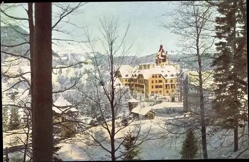 Ak Semmering in Niederösterreich, Hotel Erzherzog Johann im Winter