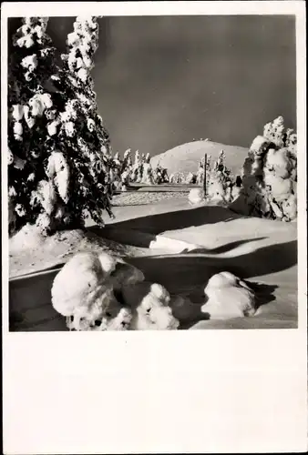 Ak Velká Úpa Reg. Königgrätz, Schneekoppe, Winterpartie