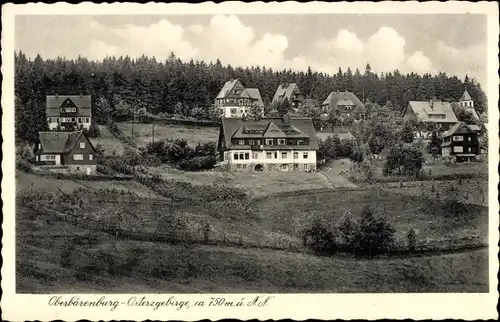 Ak Oberbärenburg Altenberg im Erzgebirge, Totalansicht