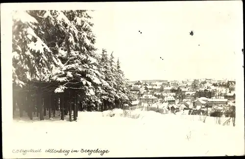 Ak Altenberg im Erzgebirge, Totalansicht, Winteransicht, Wald