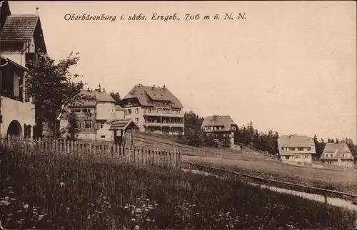 Ak Oberbärenburg Altenberg im Erzgebirge, Villen
