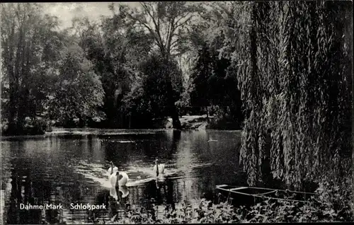 Ak Dahme in der Mark, Schlosspark, Teich, Schwäne