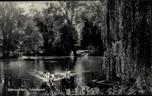 Ak Dahme in der Mark, Schlosspark, Teich, Schwäne