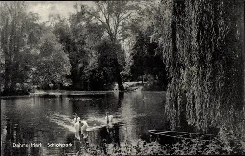 Ak Dahme in der Mark, Schlosspark, Teich, Schwäne