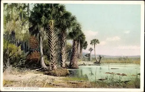 Ak Florida USA, Landschaft