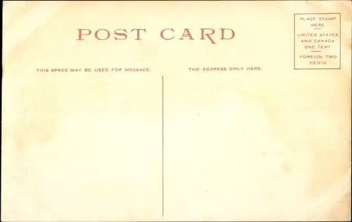 Ak Florida USA, Pine Woods