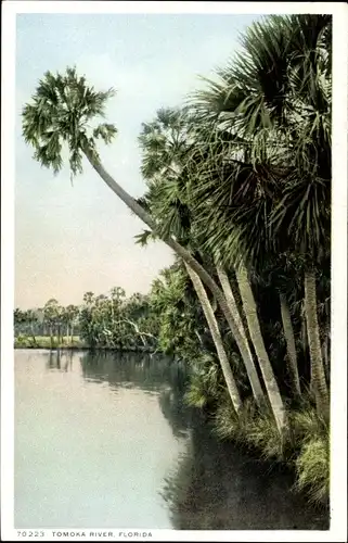 Ak Florida USA, Tomoka River