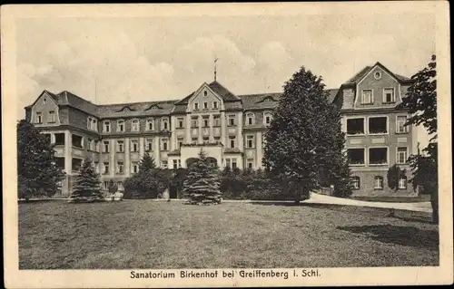 Ak Gryfów Śląski Greiffenberg Schlesien, Sanatorium Birkenhof