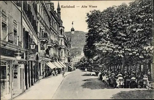 Ak Karlovy Vary Karlsbad Stadt, alte Wiese