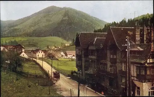 Ak Steinhaus am Semmering Steiermark, Teilansicht