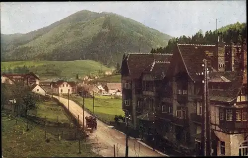 Ak Steinhaus am Semmering Steiermark, Teilansicht