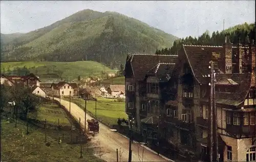 Ak Steinhaus am Semmering Steiermark, Teilansicht