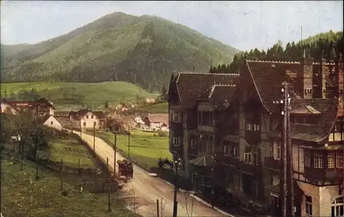 Ak Steinhaus am Semmering Steiermark, Teilansicht