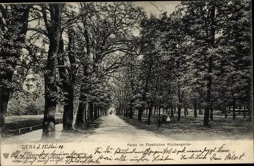 Ak Gera in Thüringen, Fürstlicher Küchengarten, Allee