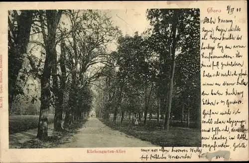 Ak Gera in Thüringen, Küchengarten, Allee