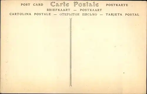 Ak Paris, Die große Seineflut Januar 1910, Eine Pariserin, die keine Angst hat