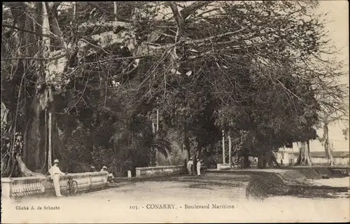 Ak Conakry Konakry Guinea, Boulevard Maritime