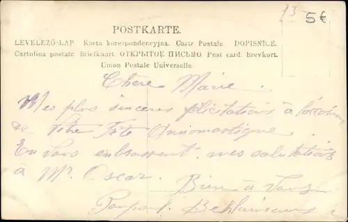 Ak Kind in einer Reisetasche, Glücksschwein, Kleeblätter