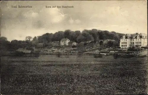 Ak Bad Schwartau in Holstein, Riesebusch