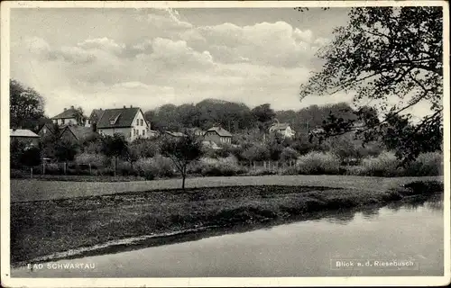 Ak Bad Schwartau in Holstein, Riesebusch