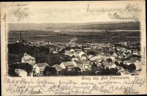 Ak Bad Freienwalde an der Oder, Panorama