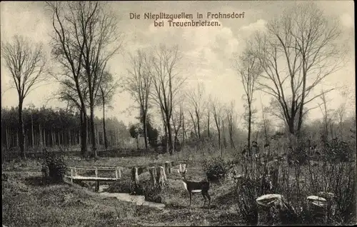 Ak Frohnsdorf Treuenbrietzen in Brandenburg, Nieplitzquellen, Reh