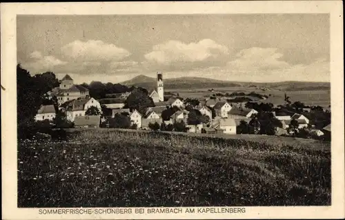 Ak Schönberg am Kapellenberg Bad Brambach im Vogtland, Gesamtansicht