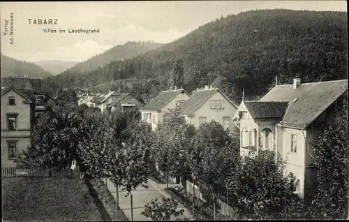 Ak Tabarz im Thüringer Wald, Villen im Lauchagrund