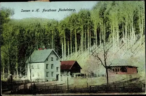 Ak Seesen am Harz, Forsthaus Neckelnberg