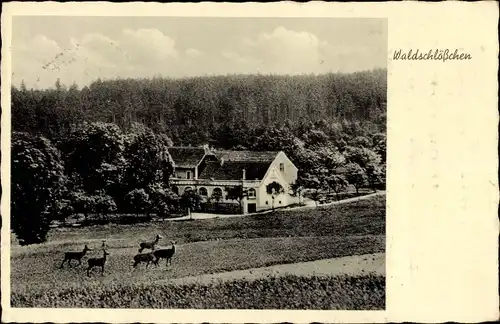 Ak Münchenbernsdorf in Thüringen, Waldschlösschen