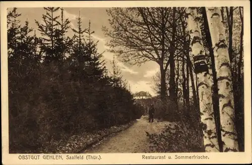 Ak Saalfeld an der Saale Thüringen, Obstgut Gehlen, Restaurant