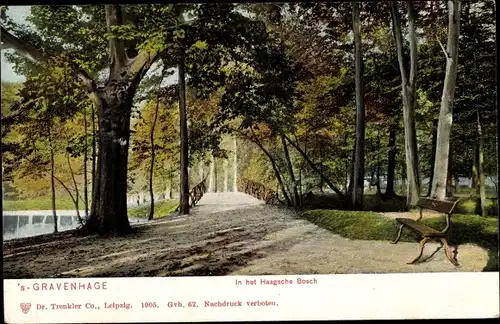 Ak 's Gravenhage Den Haag Südholland, In het Haagsche Bosch