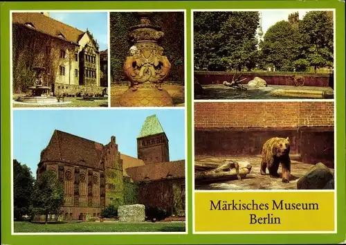 Ak Berlin Mitte, Märkisches Museum, Bärengehege