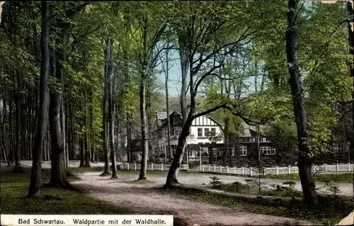 Ak Bad Schwartau in Holstein, Waldhalle, Allee