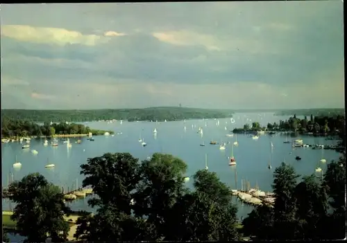 Ak Berlin Zehlendorf Wannsee, An der Havel, Segelboote