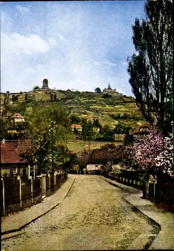 Ak Radebeul in Sachsen, Lößnitz, Blick zum Spitzhaus