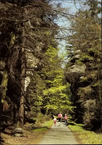 Ak Wehlen an der Elbe Sächsische Schweiz, Kohlgrund