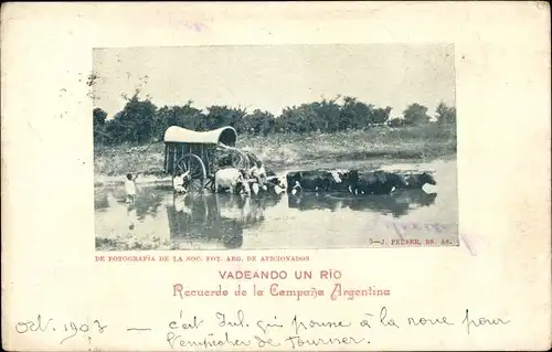 Ak Vadeando un Rio, Rindergespann